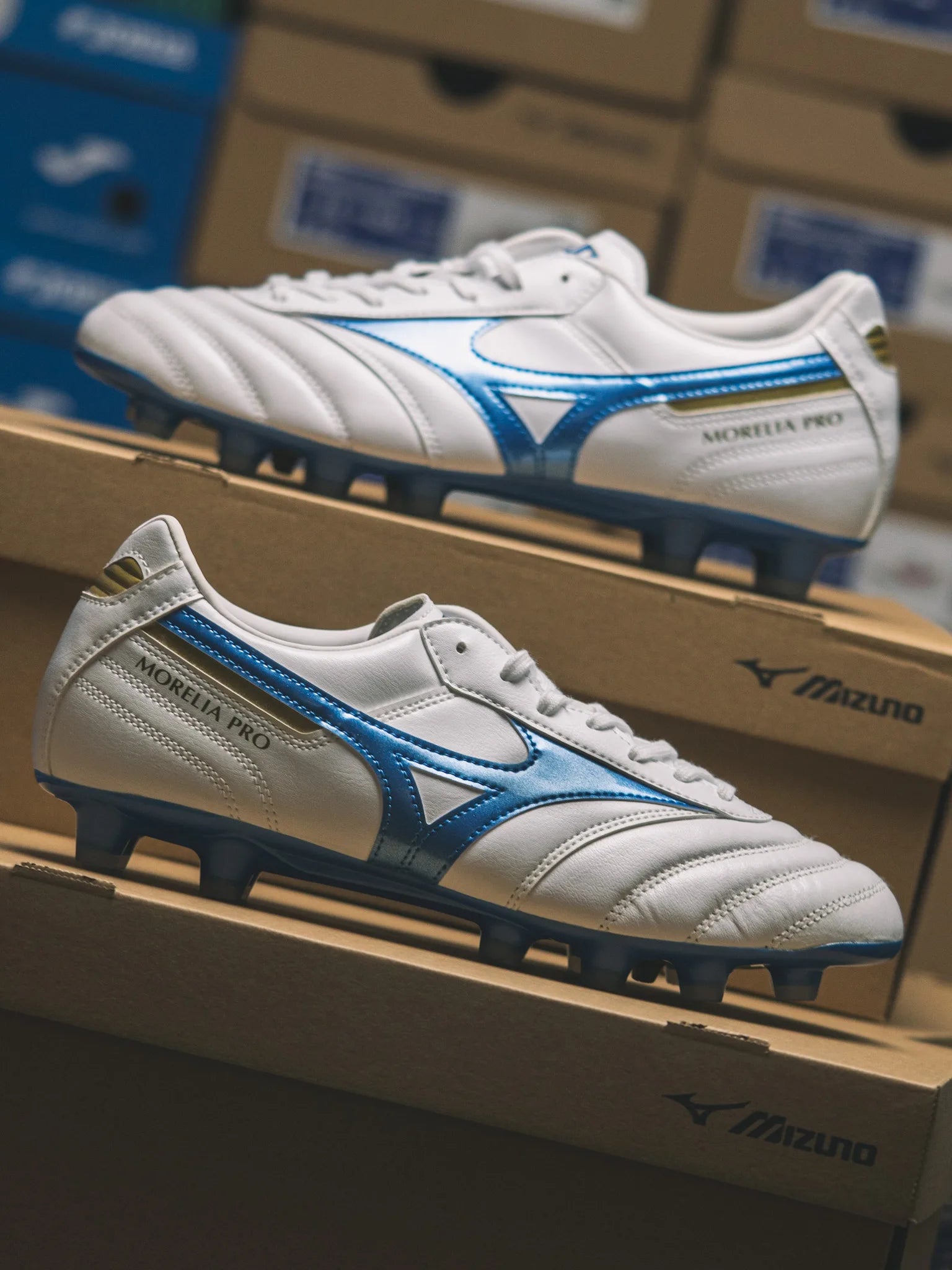 MORELIA II PRO