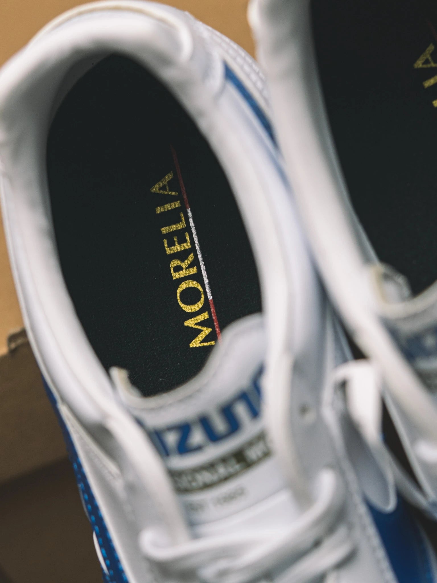 MORELIA II PRO