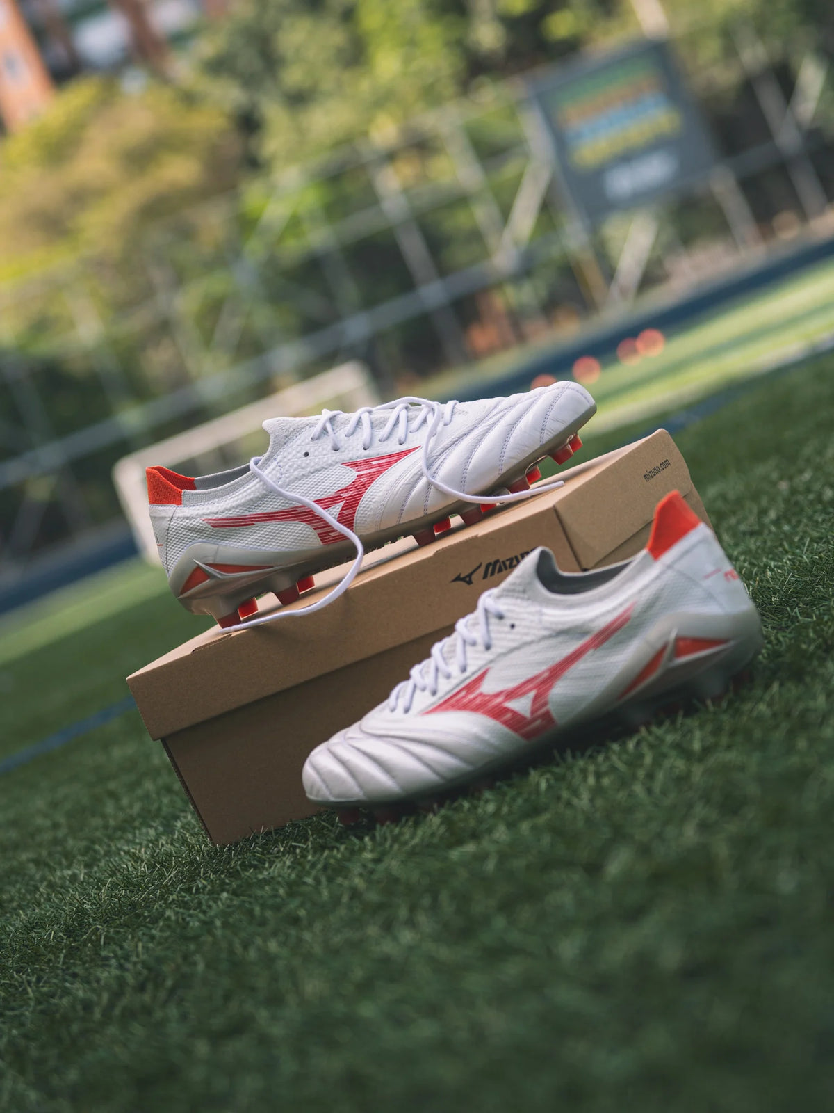 MORELIA NEO IV β ELITE