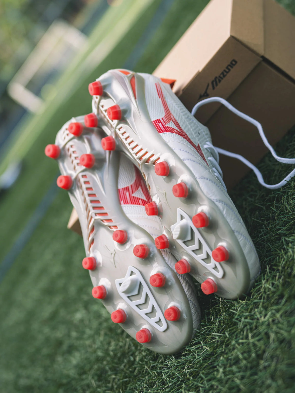 MORELIA NEO IV β ELITE