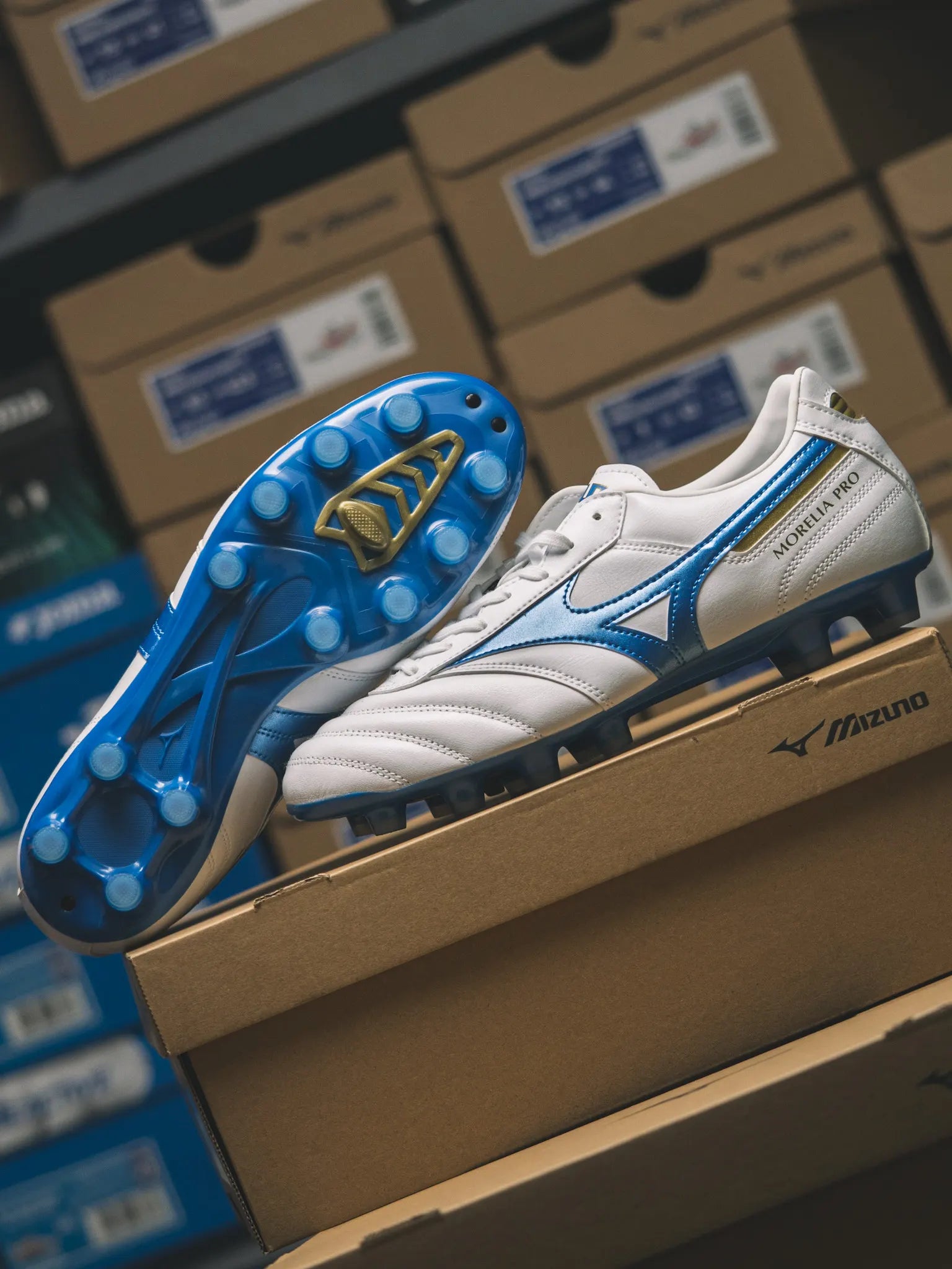 MORELIA II PRO