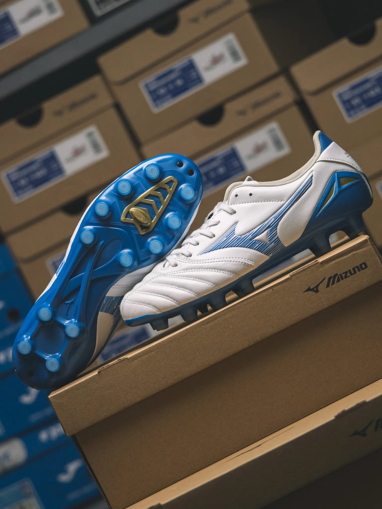 MORELIA NEO IV PRO